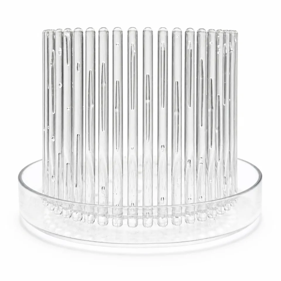 Macetero Orchitop L transparente para orquídeas